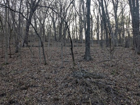 Holiday Island Land For Sale