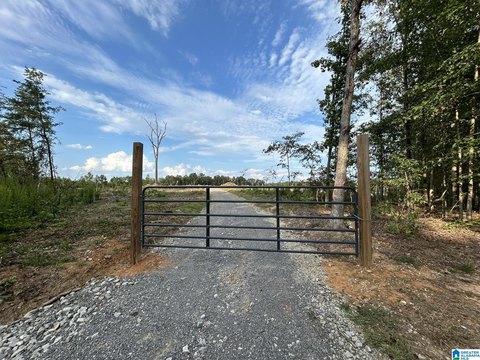 30 Acres Unrestricted Land