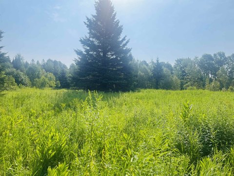 Land, Brownington, VT