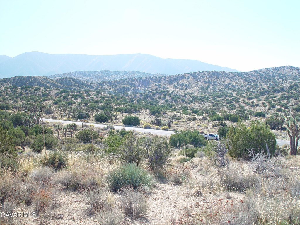 Picture 2
