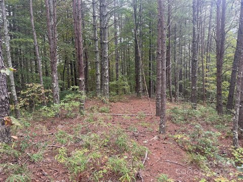 Land, Other - Nebo, NC