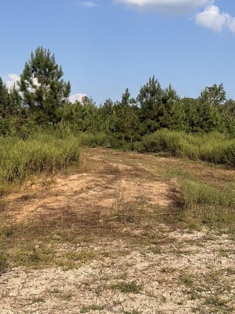 Picture 14