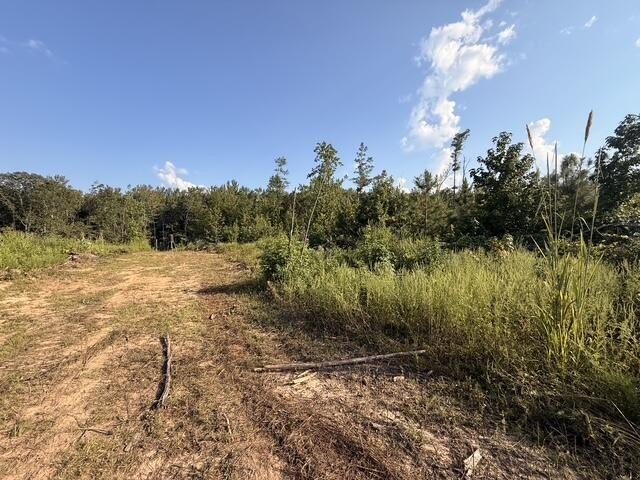 Picture 22