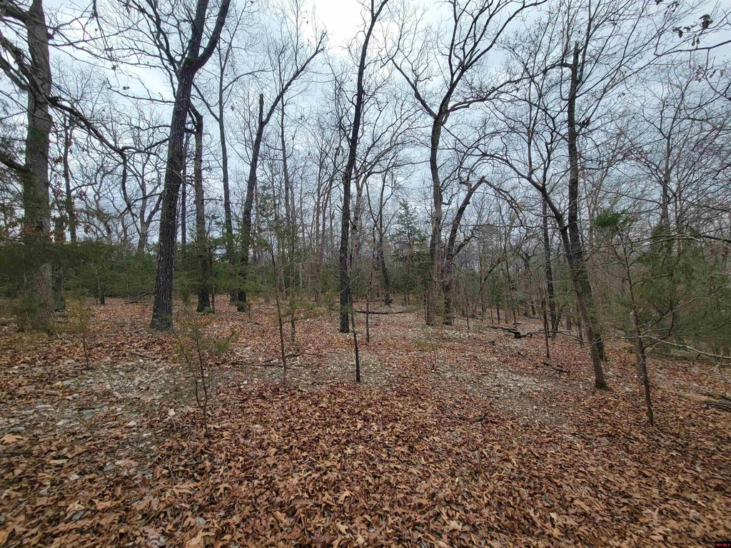 Picture 14