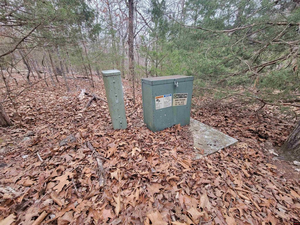 Picture 15