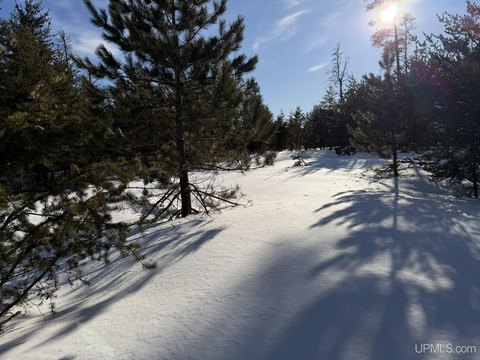 Commercial Land on Highway M-35