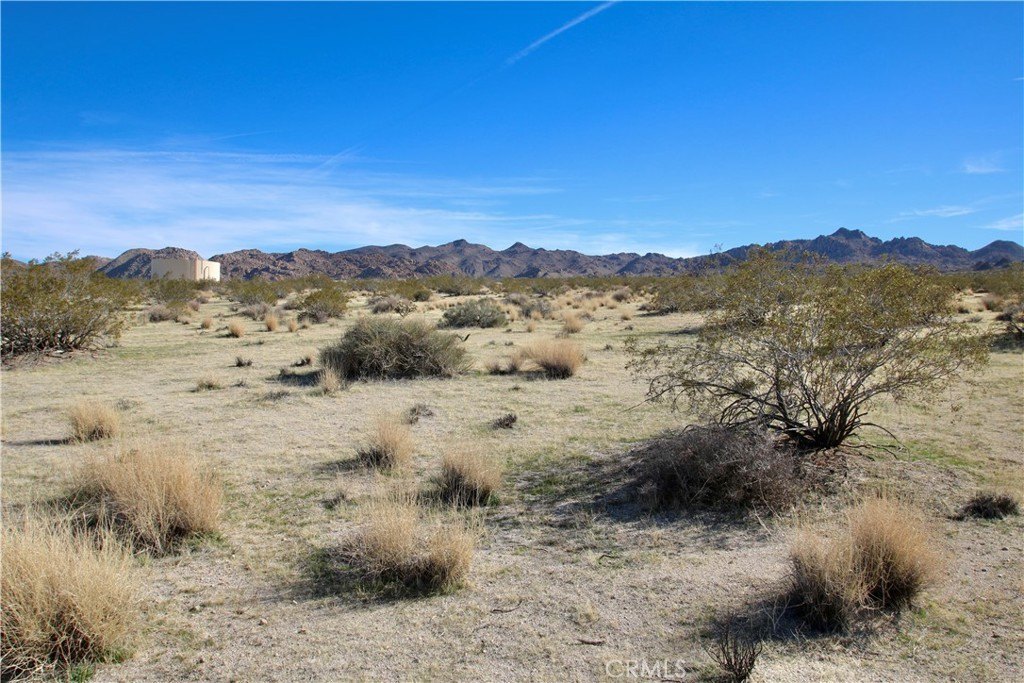 Picture 6