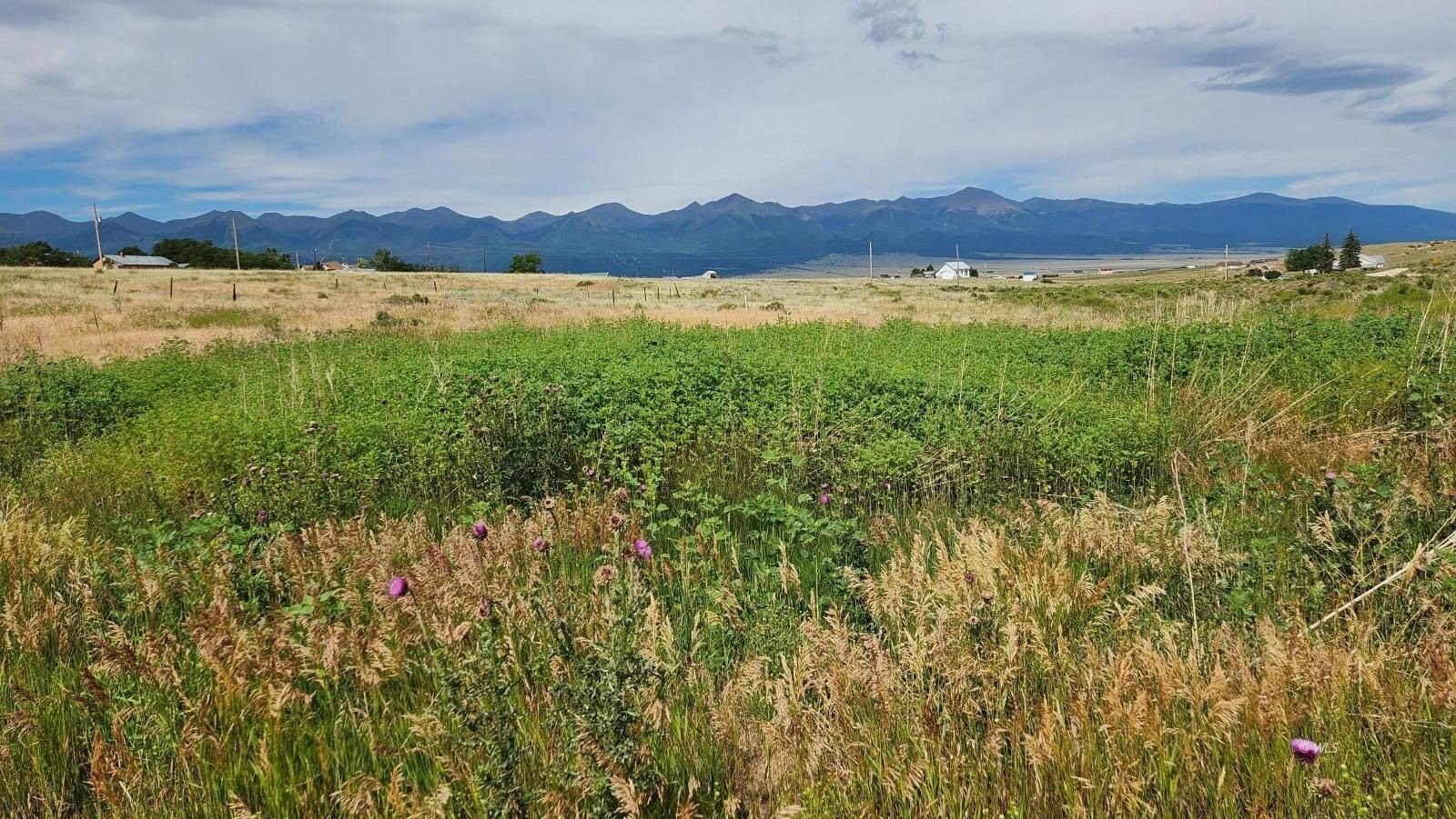 Colorado Land with Mountain Views