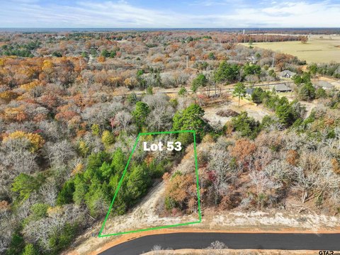Residential Lot in Mineola, TX