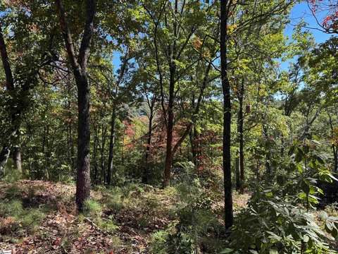 Lots/Land, Marietta, SC
