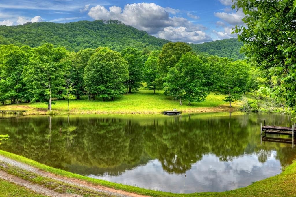 Creekfront Farmstead Near Blue Ridge