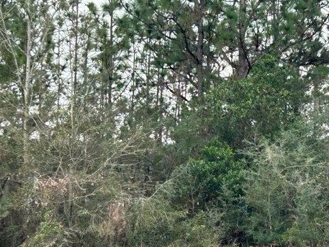 Land in Serene Natural Surroundings