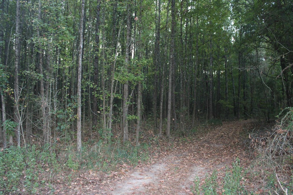 Picture 36