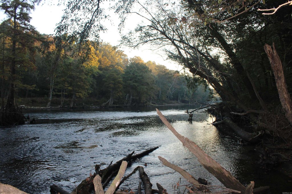 Picture 41