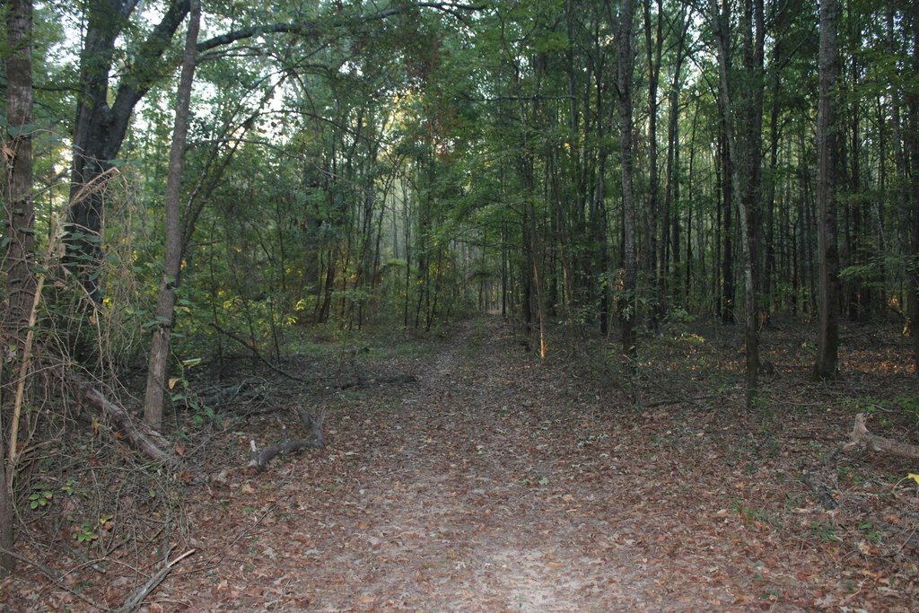 Picture 47