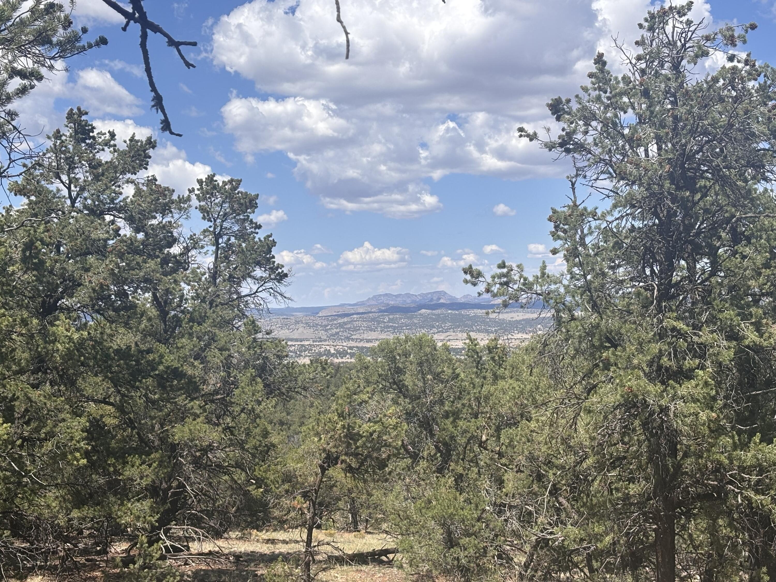 Land in Tee Pee Ranch