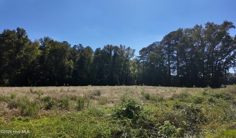 Land, Wallace, NC