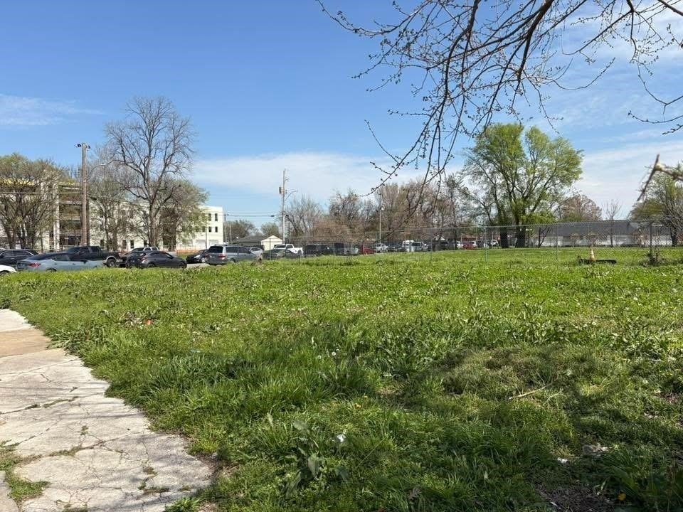 Picture 5