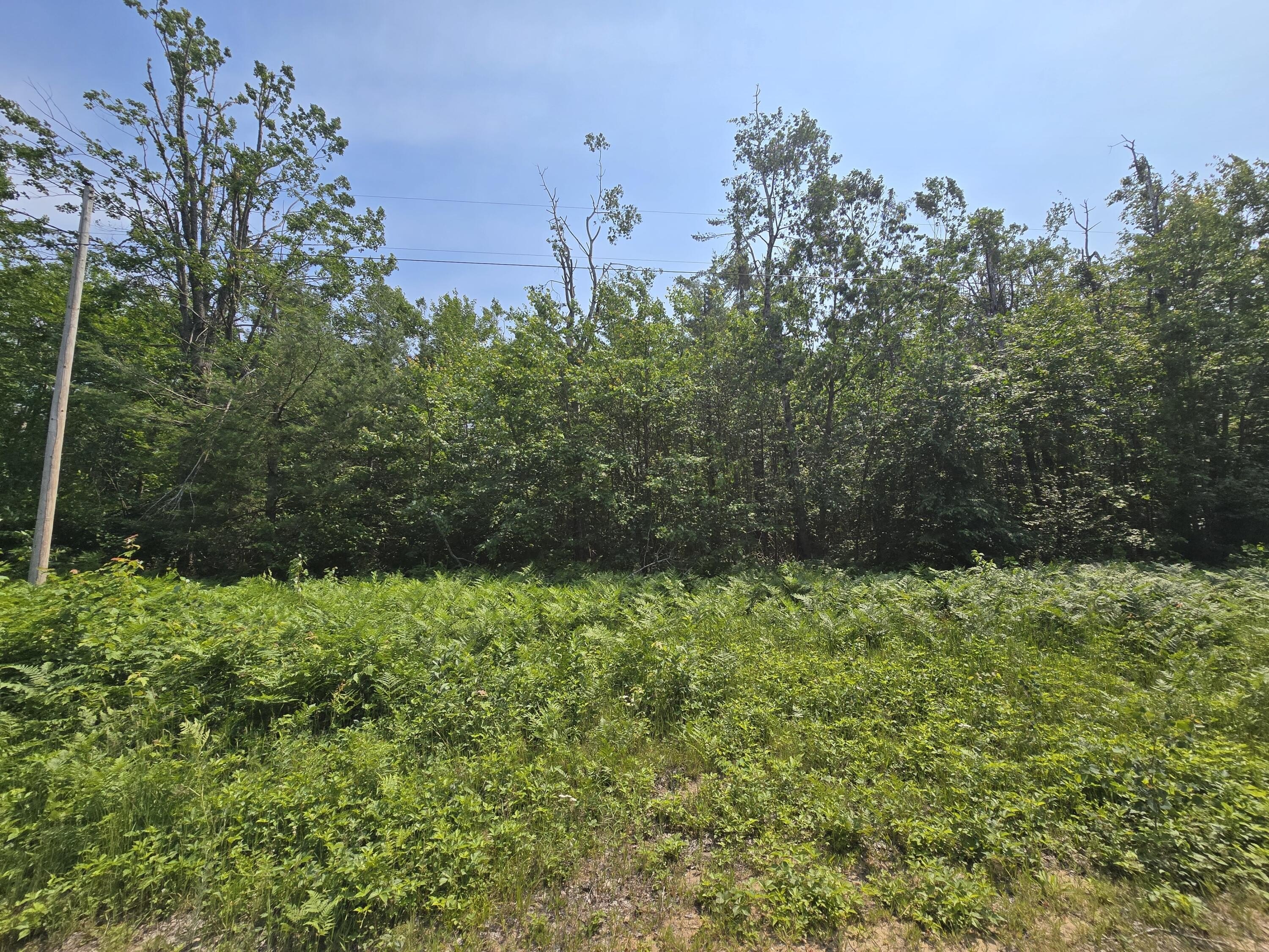 Land with Lake Access