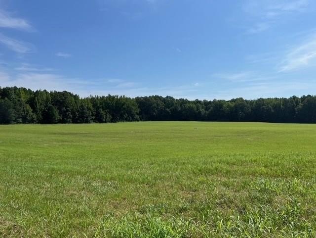 96-Acre Land in Hollow Rock
