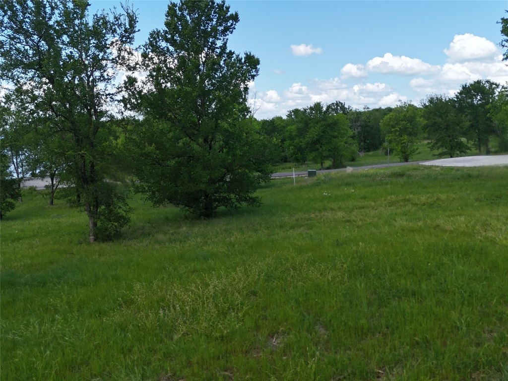 Picture 7