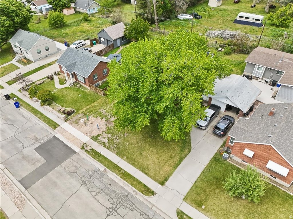 Picture 17