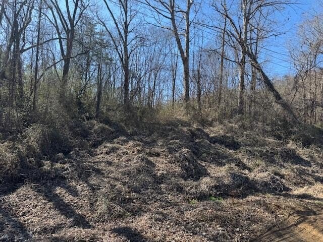 Land in Cosby, Tennessee