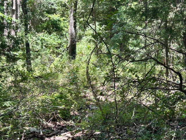Picture 11