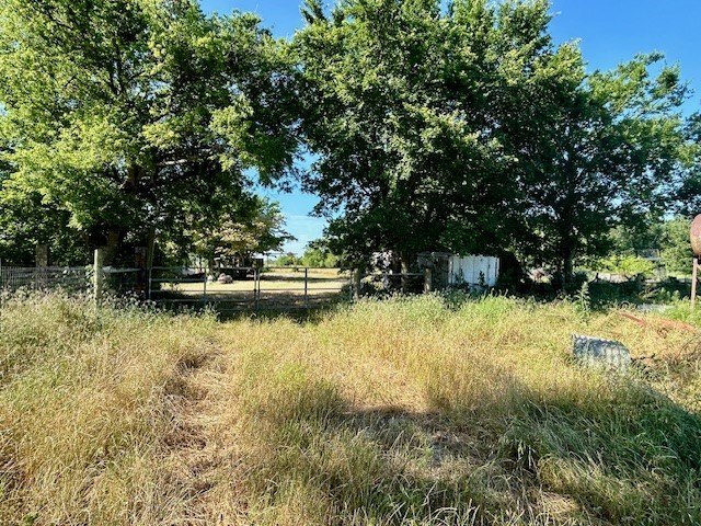 Picture 26