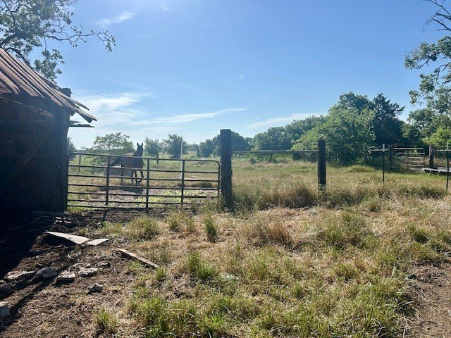 Picture 25