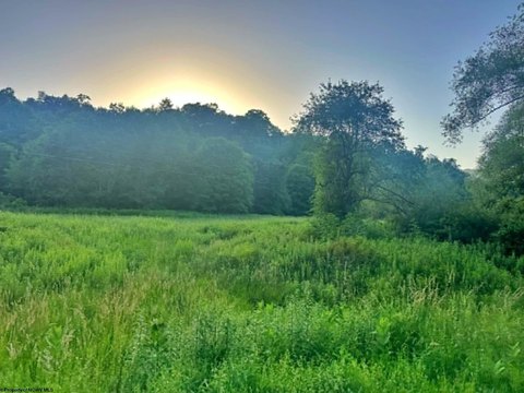 Lots/Land, Terra Alta, WV