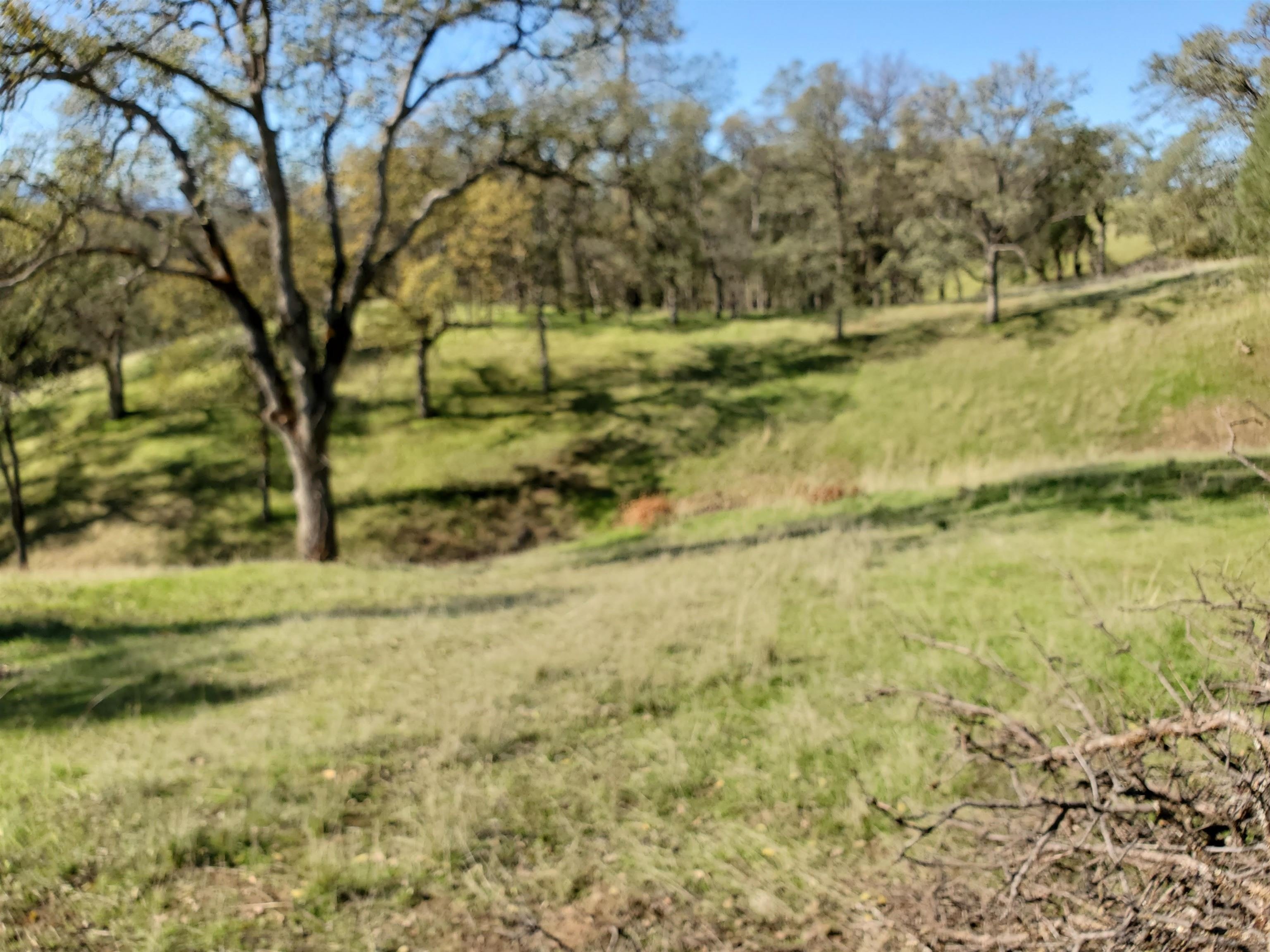 Red Bluff Land with Views