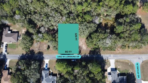 Land, CITRUS SPRINGS, FL