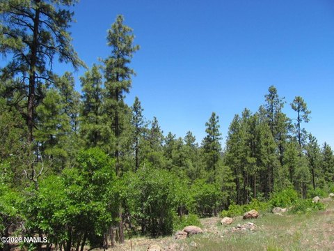 LAND - Williams, AZ