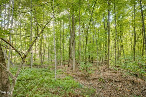 Land, Butler, TN