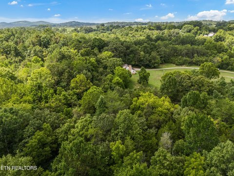 Lots & Acreage, Strawberry Plains, TN