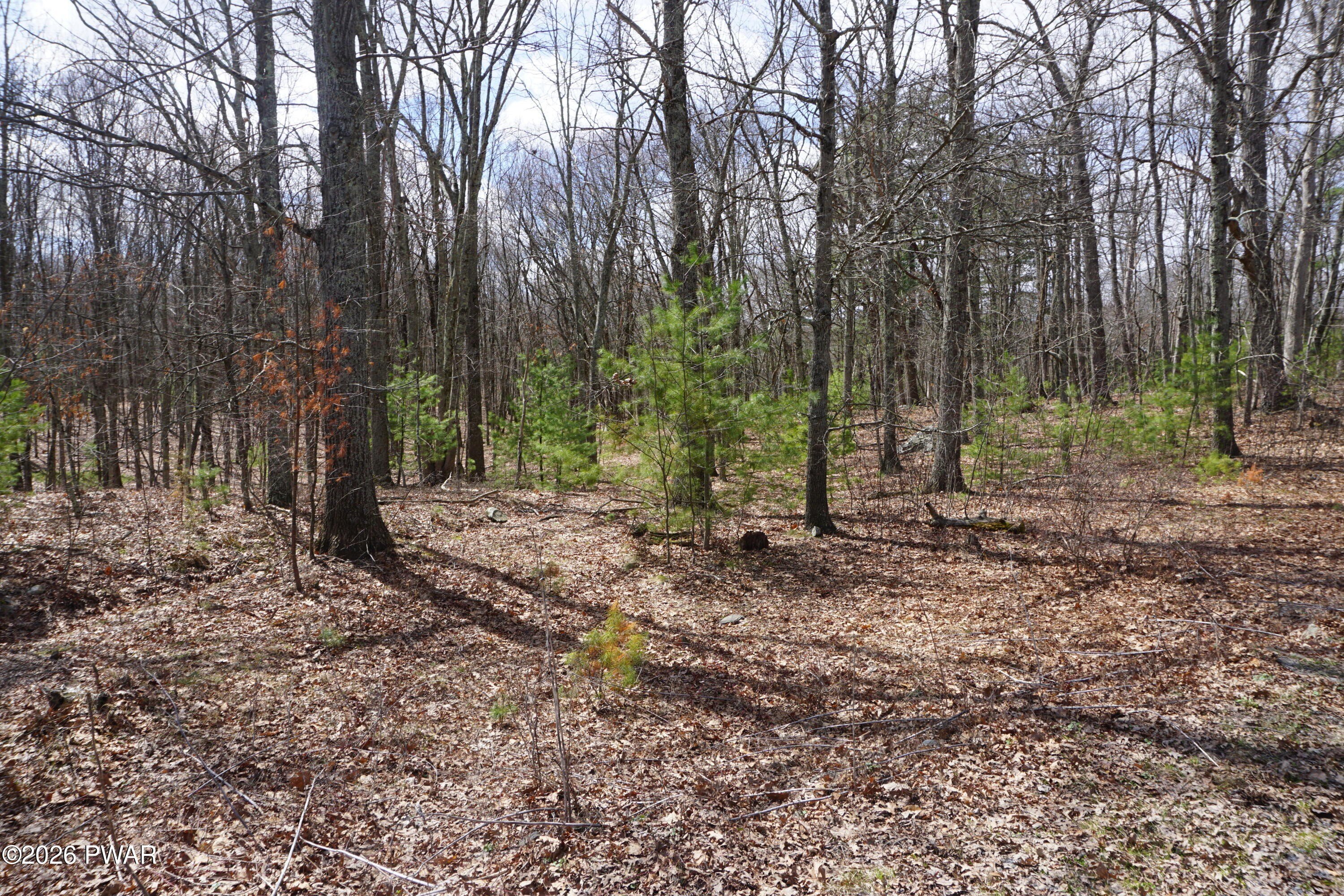 Land in Dingmans Ferry, PA