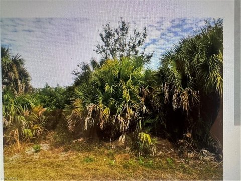 Residential Land in North Port