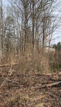 LAND - Mahopac, NY