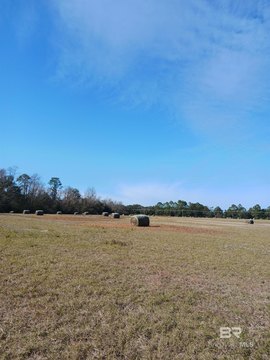 Summerdale Acreage Homesites Opportunity
