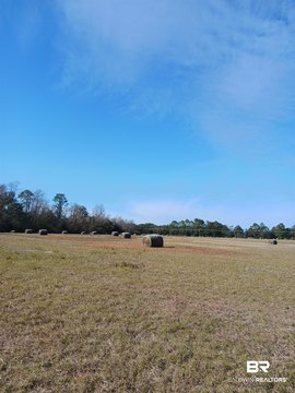 Summerdale Acreage Homesites Opportunity