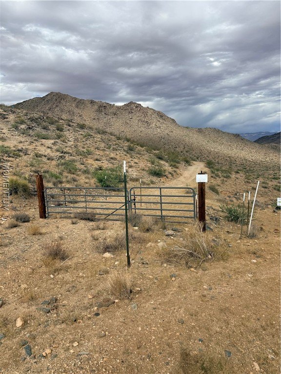 Picture 24