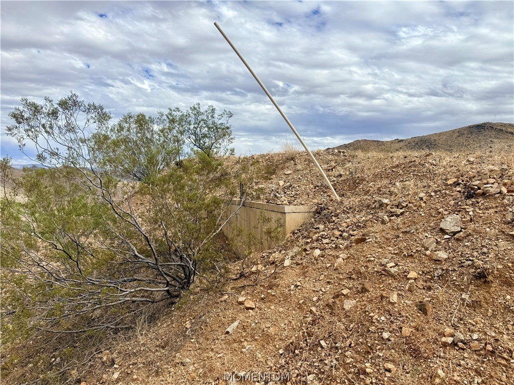 Picture 5