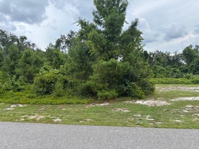 Lakefront Land on Lake Marion