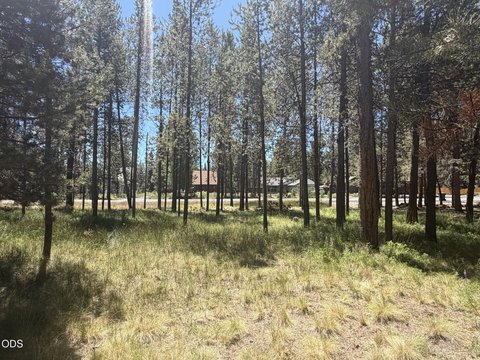 LAND - Bend, OR