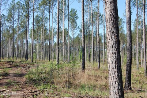 Land in North Monroe County
