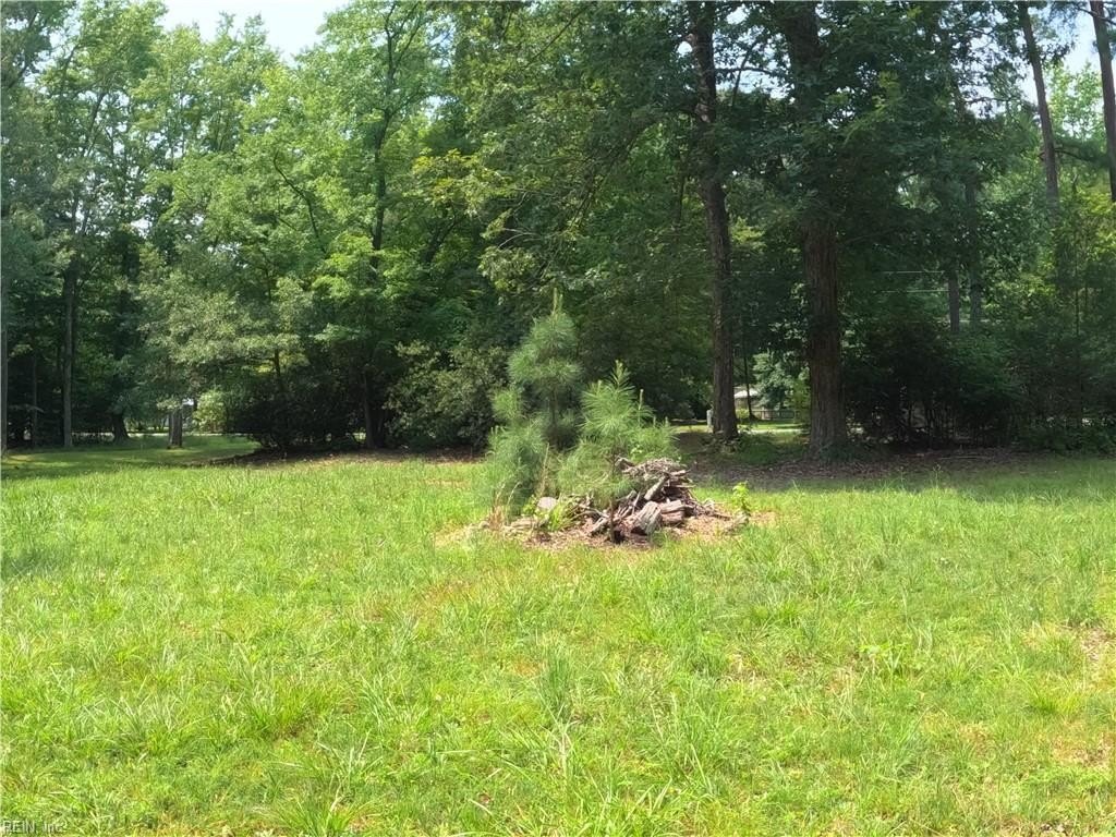 Picture 12