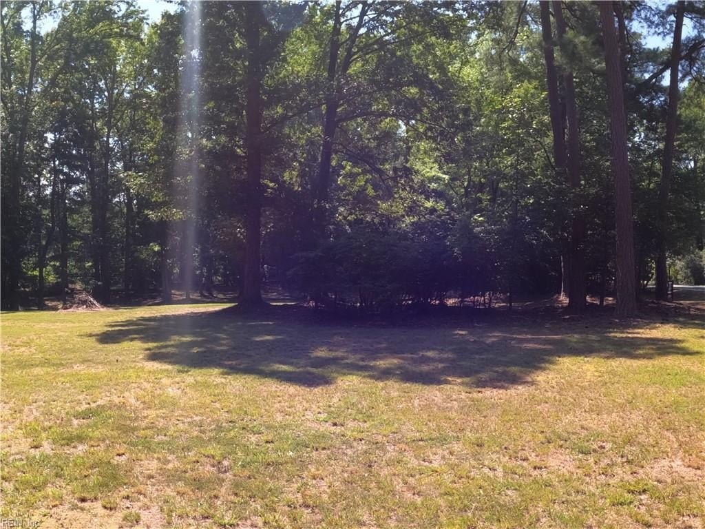Picture 14