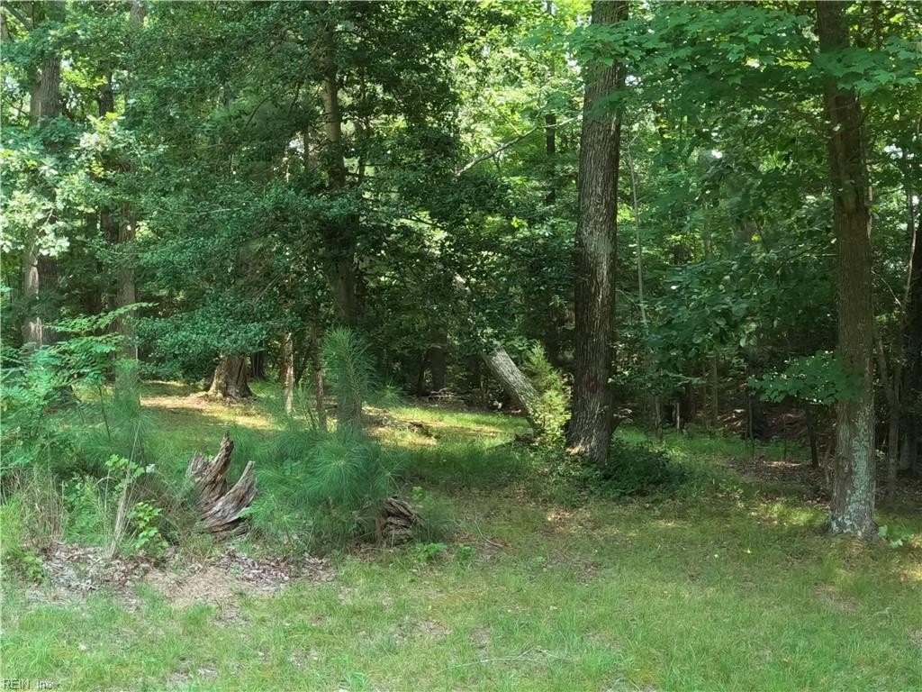 Picture 9