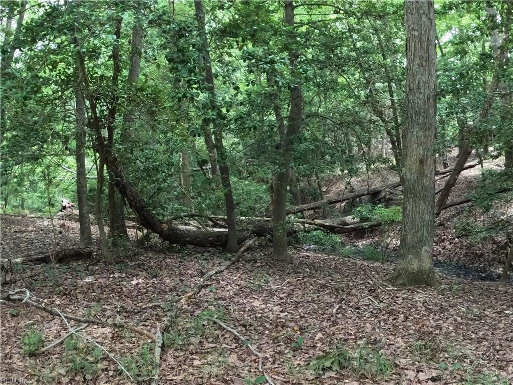 Picture 25